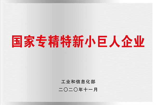 專精特新“小巨人”企業(yè)